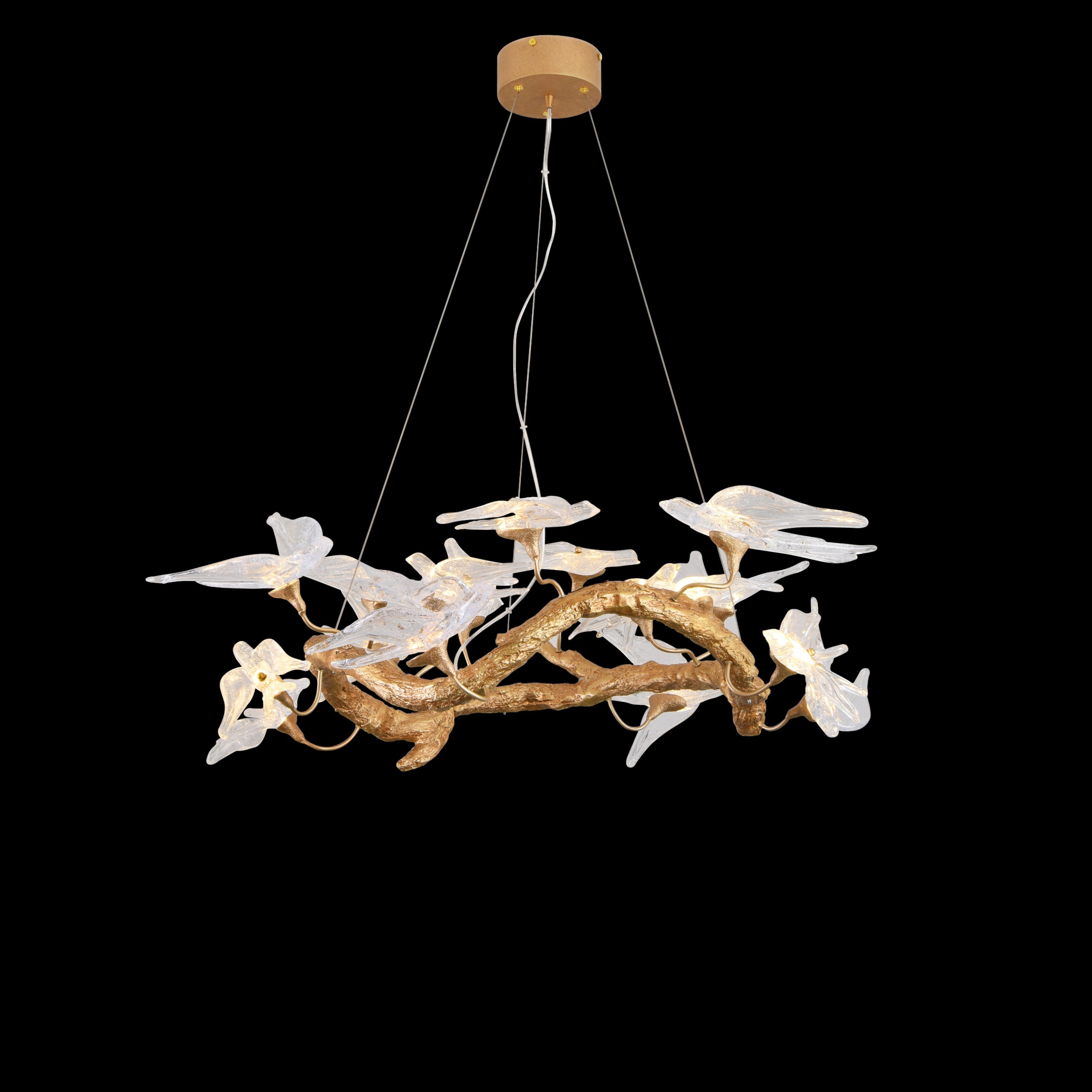 Peru Brass Transparent Swallow Glass Chandelier 80 Cm - Heka Lighting & Trading Limited