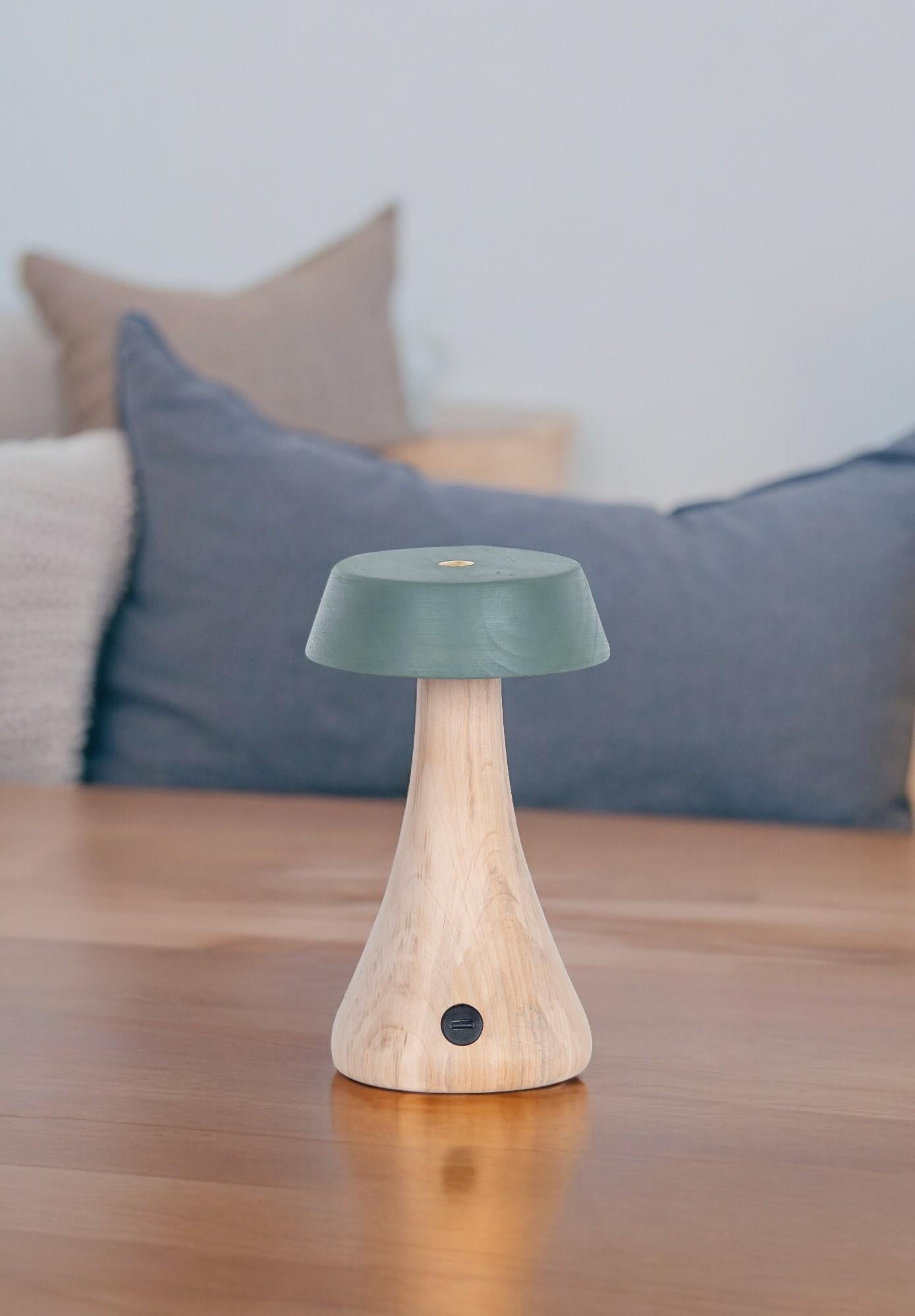 Morchella Rechargeable Green Table Lamp - Heka Lighting & Trading Limited