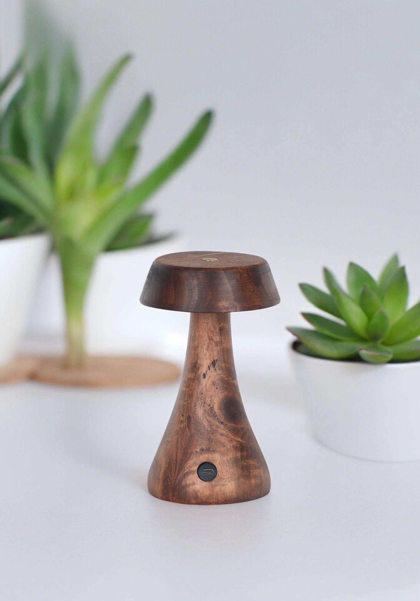 Morchella Rechargeable Wenge Table Lamp - Heka Lighting & Trading Limited