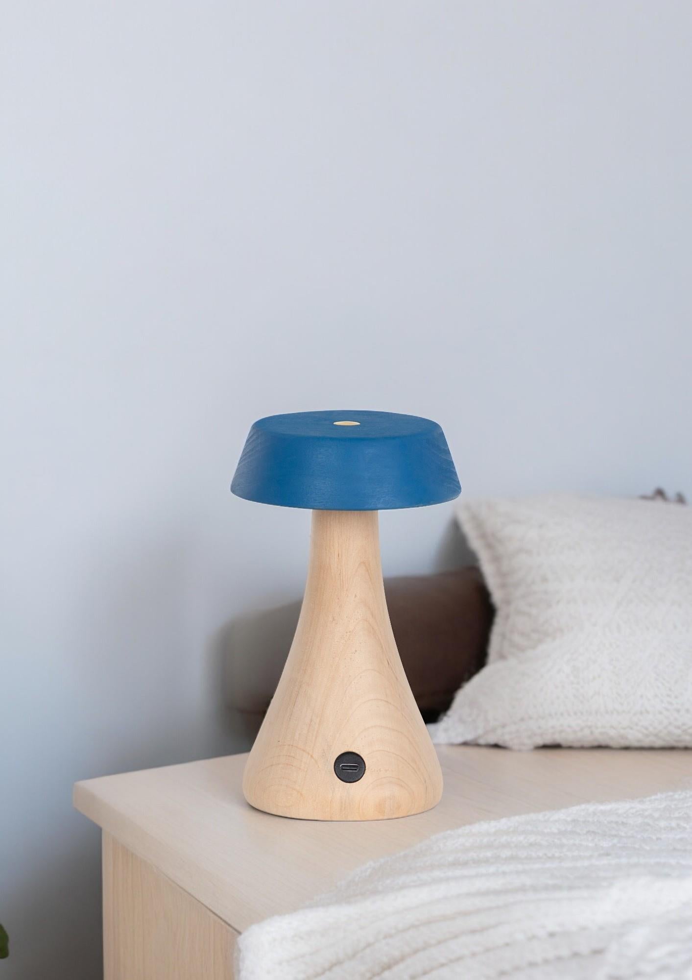 Morchella Rechargeable Blue Table Lamp - Heka Lighting & Trading Limited