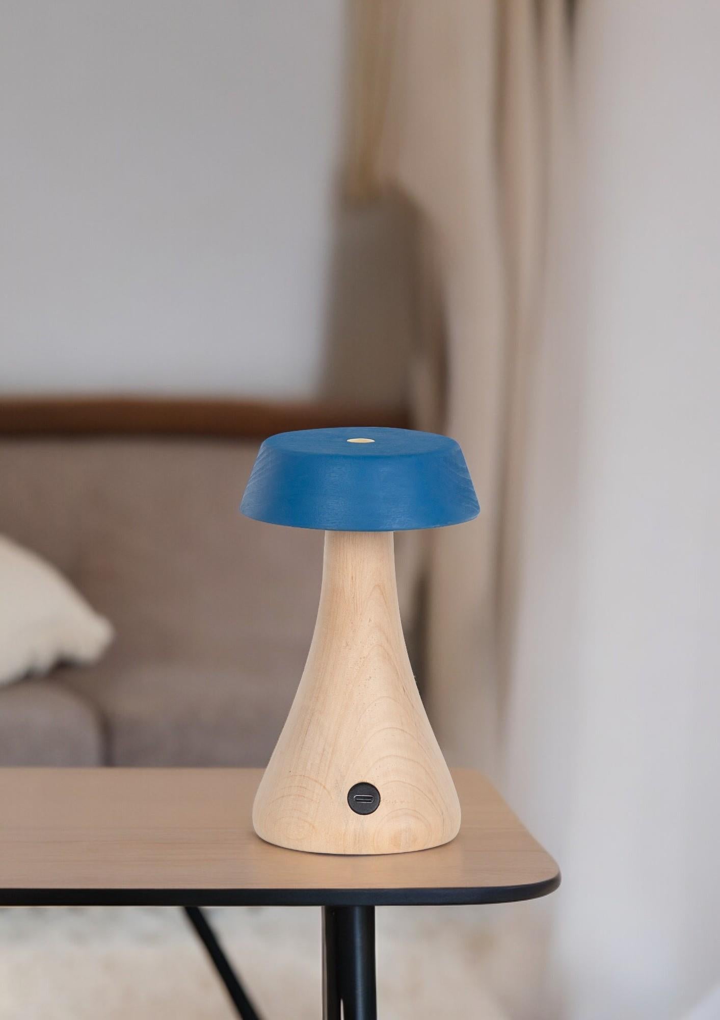 Morchella Rechargeable Blue Table Lamp - Heka Lighting & Trading Limited