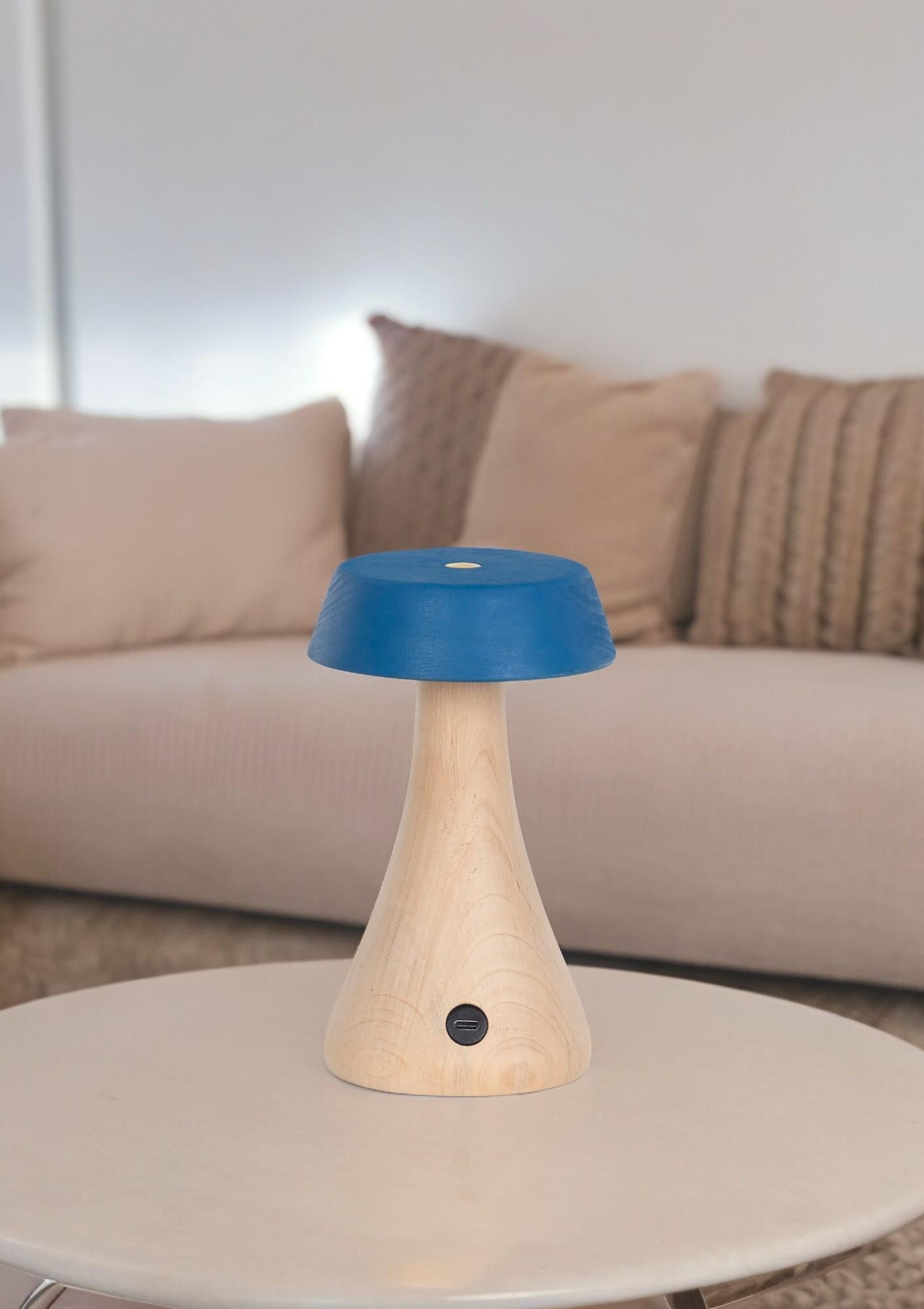 Morchella Rechargeable Blue Table Lamp - Heka Lighting & Trading Limited