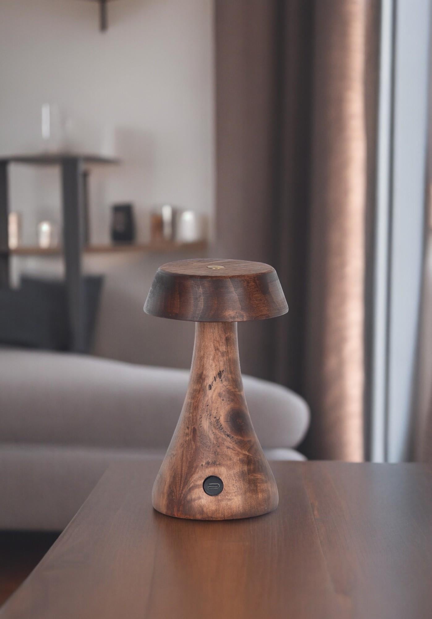 Morchella Rechargeable Wenge Table Lamp - Heka Lighting & Trading Limited