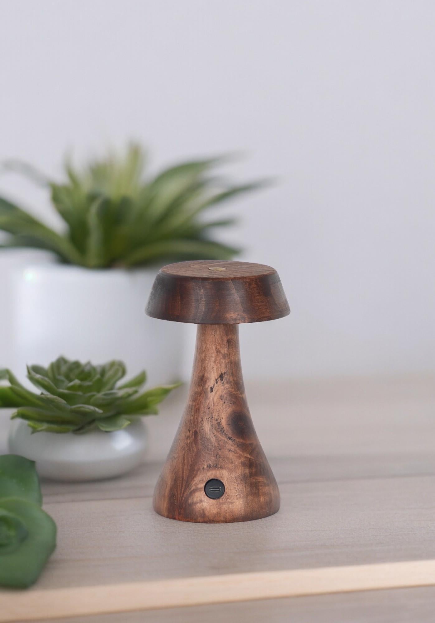 Morchella Rechargeable Wenge Table Lamp - Heka Lighting & Trading Limited