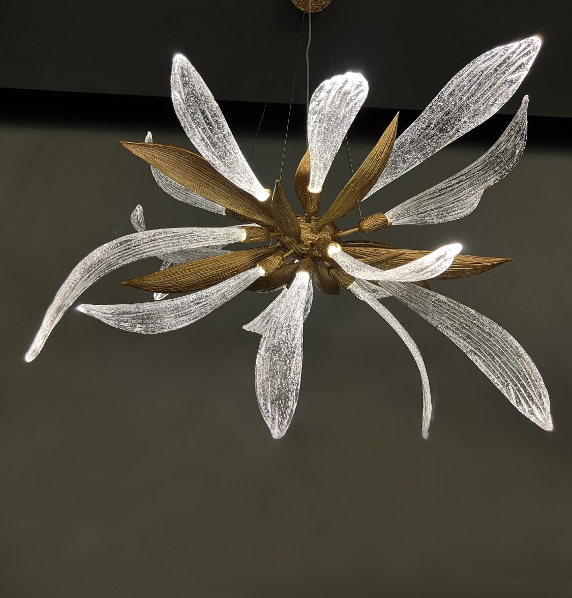 Oxford Brass Transparent Leaf Glass Chandelier 120 Cm - Heka Lighting & Trading Limited