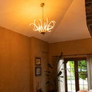 Chandelier hanging in a room with a window and plant