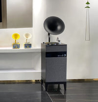 Black Gray Gramophone Music Player