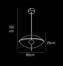 Carina Single Flattened Transparent Acrylic Gold Pendant Light 60 Cm - Heka Lighting & Trading Limited