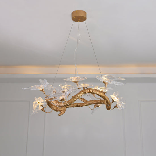 Peru Brass Transparent Swallow Glass Chandelier 80 Cm