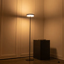 Berlin Platinum Stainless Transparent Glass Floor Lamp