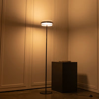 Berlin Platinum Stainless Transparent Glass Floor Lamp