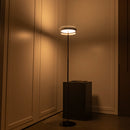 Berlin Platinum Stainless Transparent Glass Floor Lamp