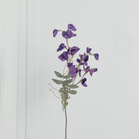 Pea Purple Sweet Pea Flower