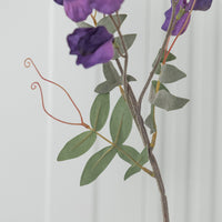 Pea Purple Sweet Pea Flower