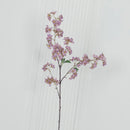 Cherry Purple Cherry Blossom