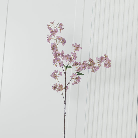 Cherry Purple Cherry Blossom