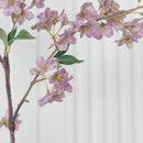 Cherry Purple Cherry Blossom