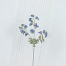 Pea Antique Green Sweet Pea Flower