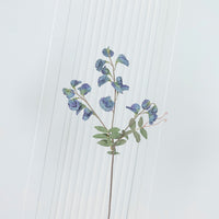 Pea Antique Green Sweet Pea Flower