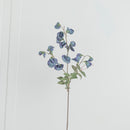 Pea Antique Green Sweet Pea Flower