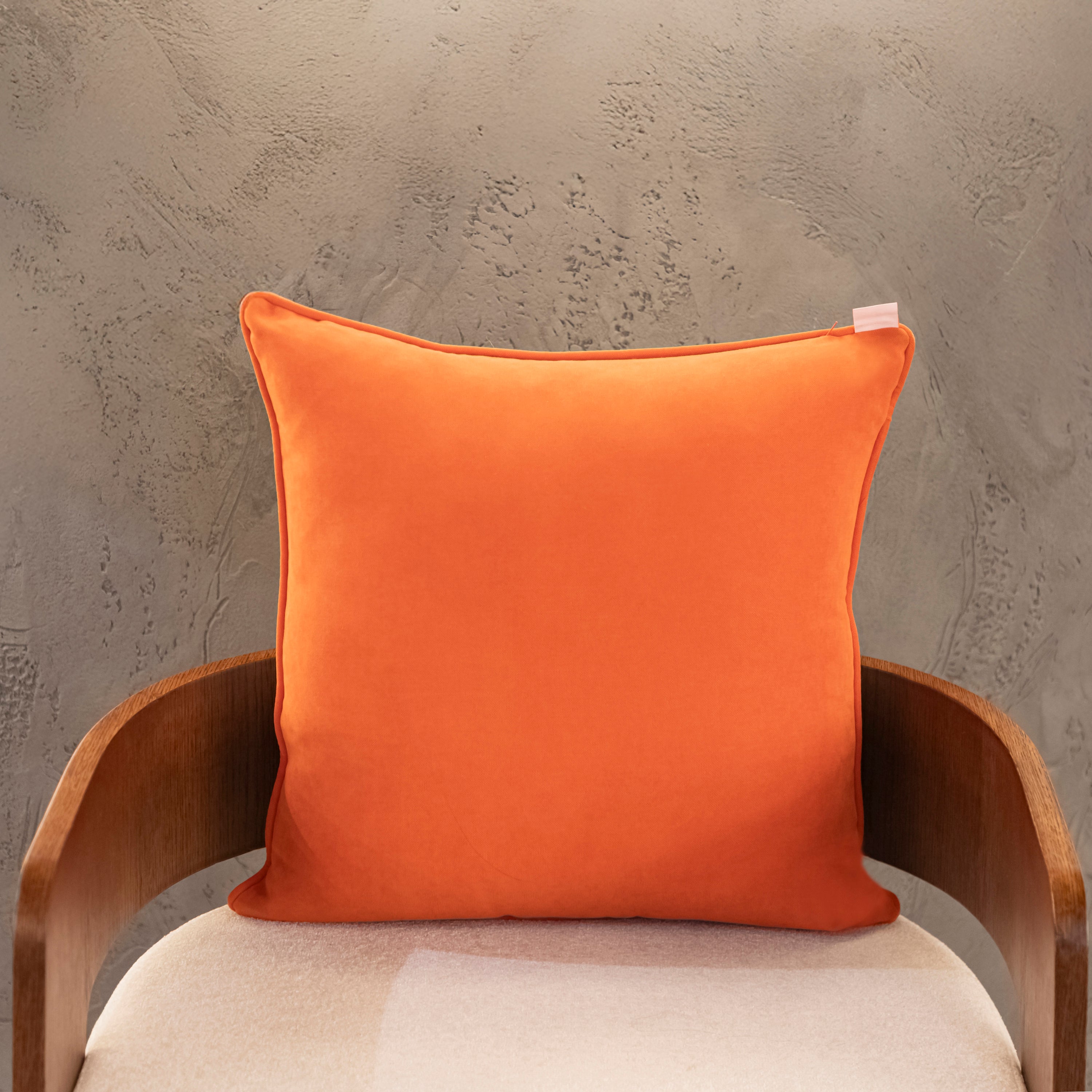 Coral Single Branch Coral 55X55 Pillow