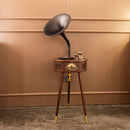 Brown-Black Gramophone - Music Player