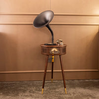 Brown-Black Gramophone - Music Player