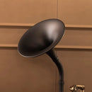 Brown-Black Gramophone - Music Player