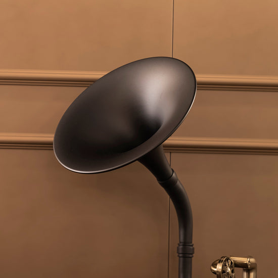 Brown-Black Gramophone - Music Player