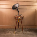 Brown-Black Gramophone - Music Player