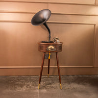 Brown-Black Gramophone - Music Player