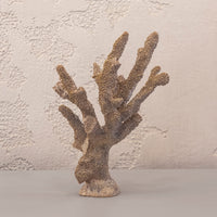 Gold Coral 25X36Cm