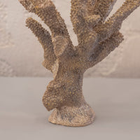 Gold Coral 25X36Cm