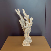 Gold Coral 25X36Cm