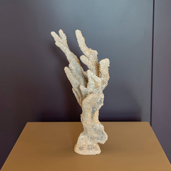 Gold Coral 25X36Cm