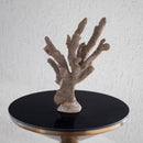 Gold Coral 25X36Cm