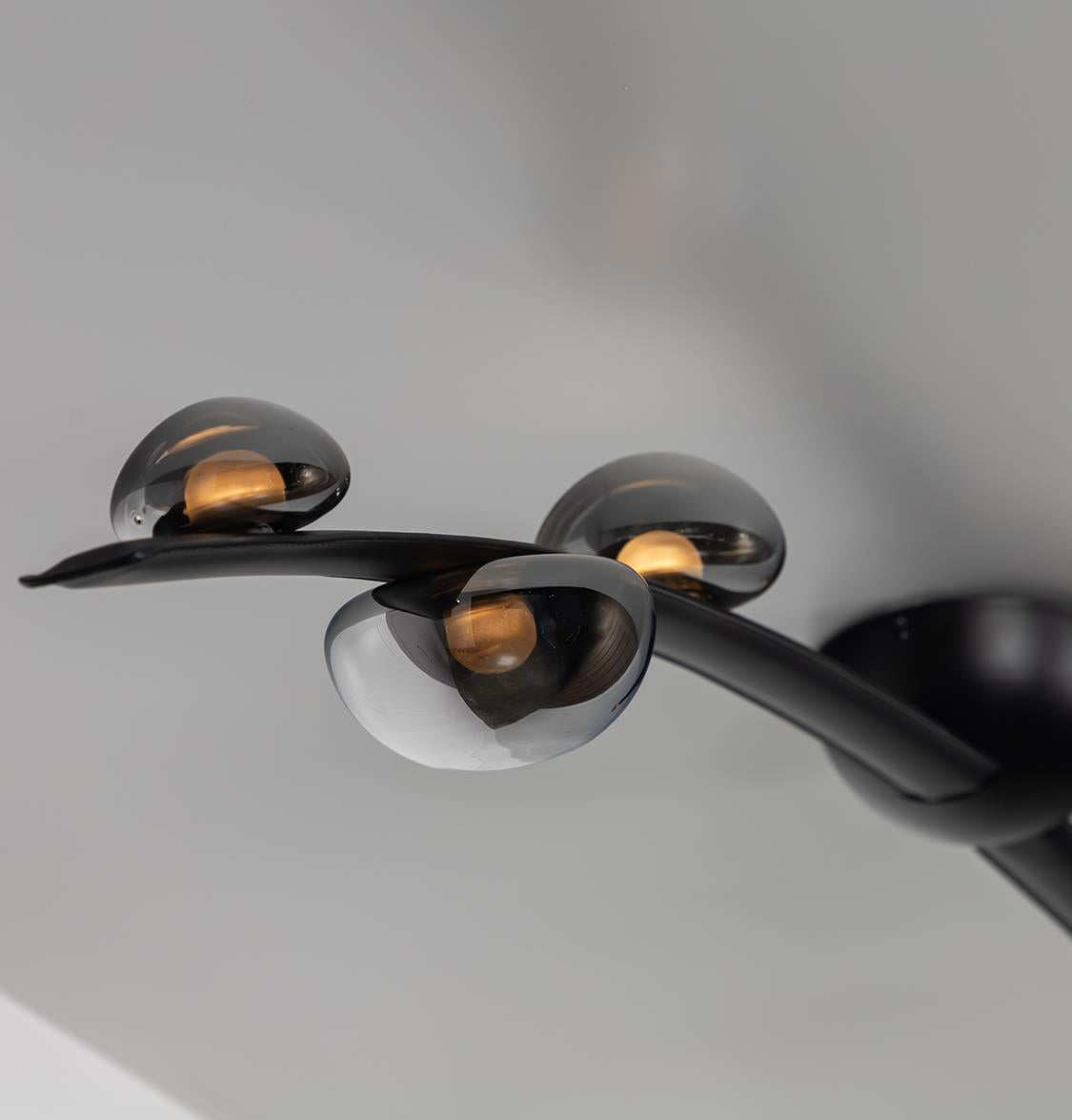 Kinþasa Black Leather Five Smoked Glass Flush Mount Ceiling Light - Heka Lighting & Trading Limited