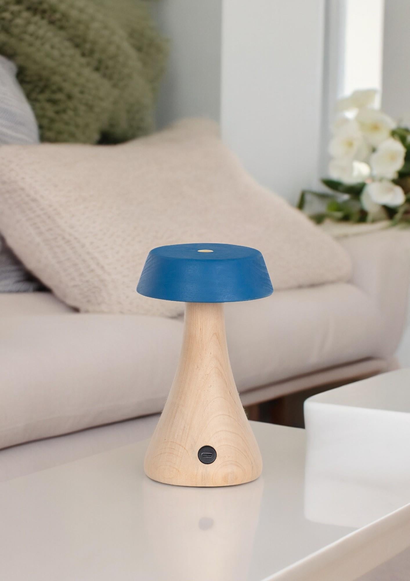 Morchella Rechargeable Blue Table Lamp - Heka Lighting & Trading Limited
