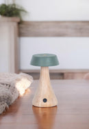 Morchella Rechargeable Green Table Lamp - Heka Lighting & Trading Limited