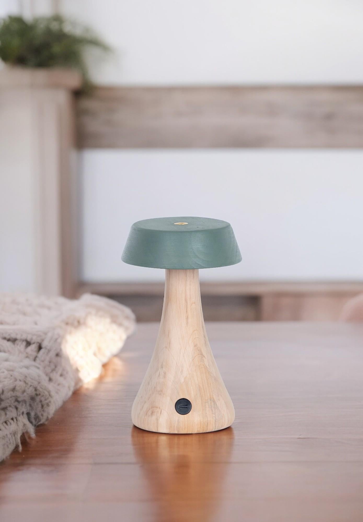 Morchella Rechargeable Green Table Lamp - Heka Lighting & Trading Limited
