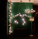 Peru Brass Transparent Swallow Glass Led Wall Sconce 25 Cm - Heka Lighting & Trading Limited