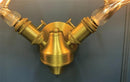 Galata Antique Deer Antler Wall Sconce - Heka Lighting & Trading Limited