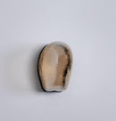 Gambia Honey Glass Black Wall Sconce 26 Cm - Heka Lighting & Trading Limited