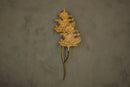 Gence Sycamore Double Leaf Wall Sconce, Natural Shaped Lighting, Handmade Gold Lamp, Home Decor Wall Mounted Lamp, Art Decor Light - Heka Lighting & Trading Limited