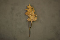 Gence Sycamore Double Leaf Wall Sconce, Natural Shaped Lighting, Handmade Gold Lamp, Home Decor Wall Mounted Lamp, Art Decor Light - Heka Lighting & Trading Limited