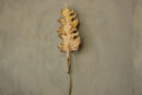 Gence Sycamore Double Leaf Wall Sconce, Natural Shaped Lighting, Handmade Gold Lamp, Home Decor Wall Mounted Lamp, Art Decor Light - Heka Lighting & Trading Limited