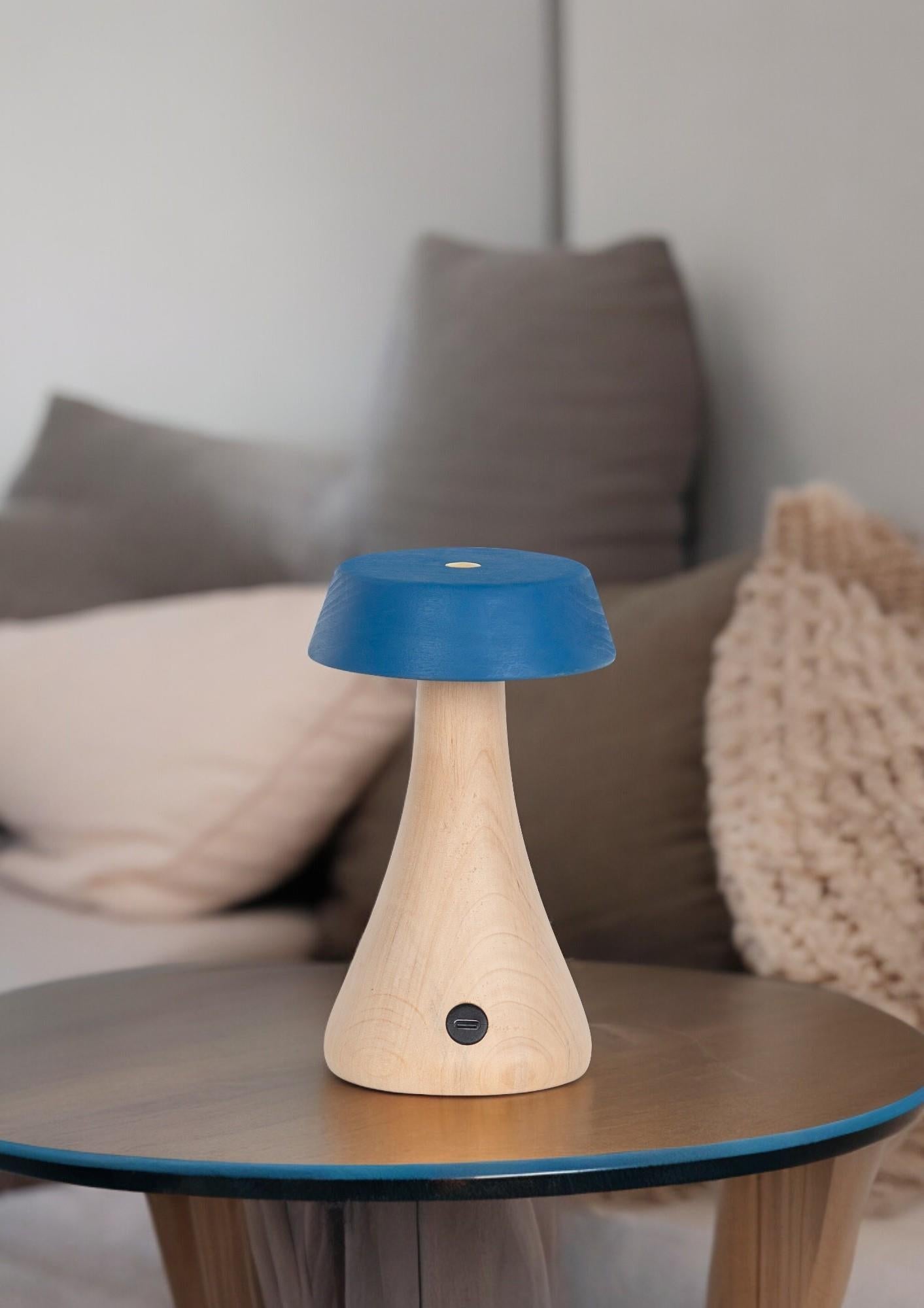 Morchella Rechargeable Blue Table Lamp - Heka Lighting & Trading Limited