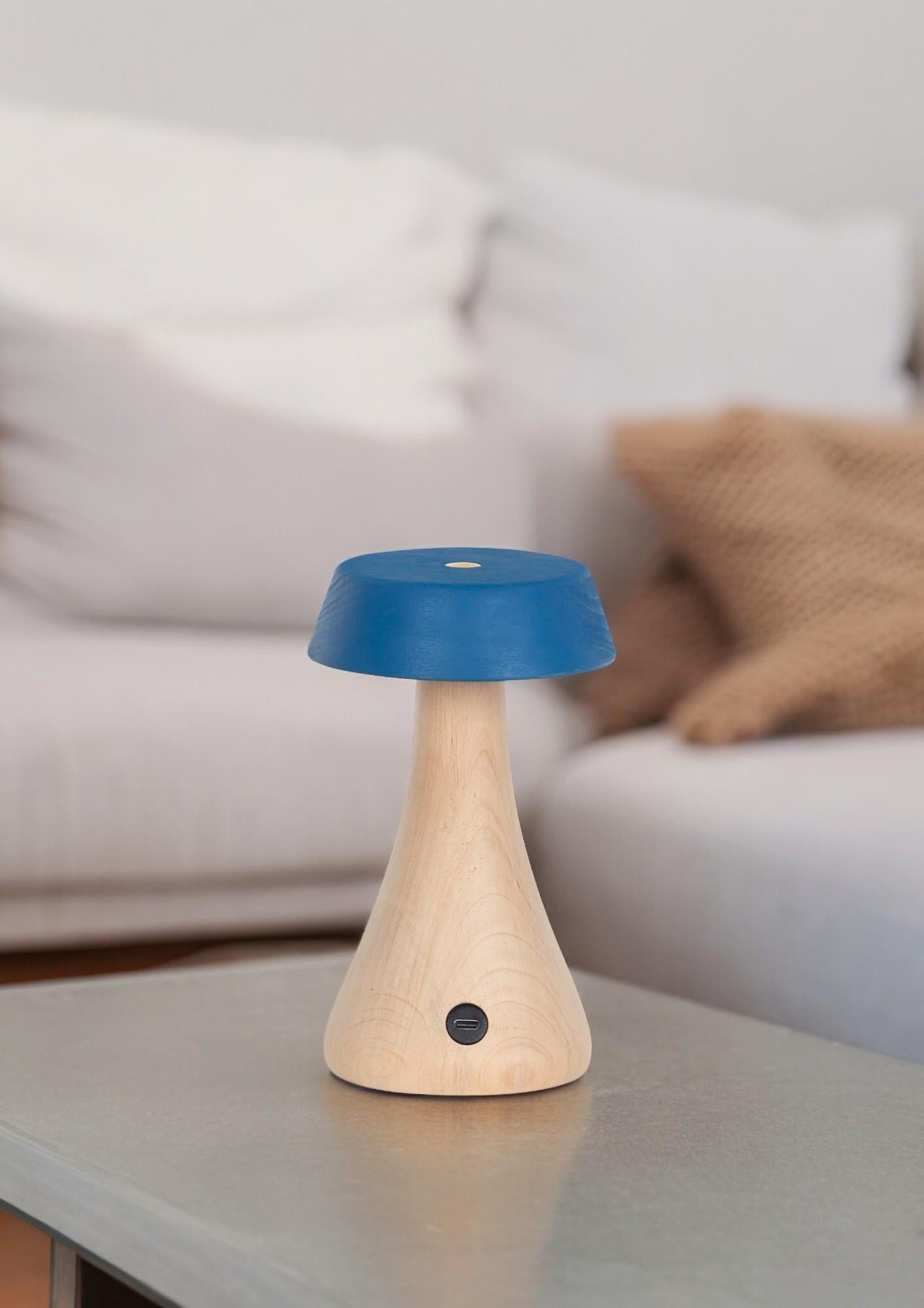 Morchella Rechargeable Blue Table Lamp - Heka Lighting & Trading Limited