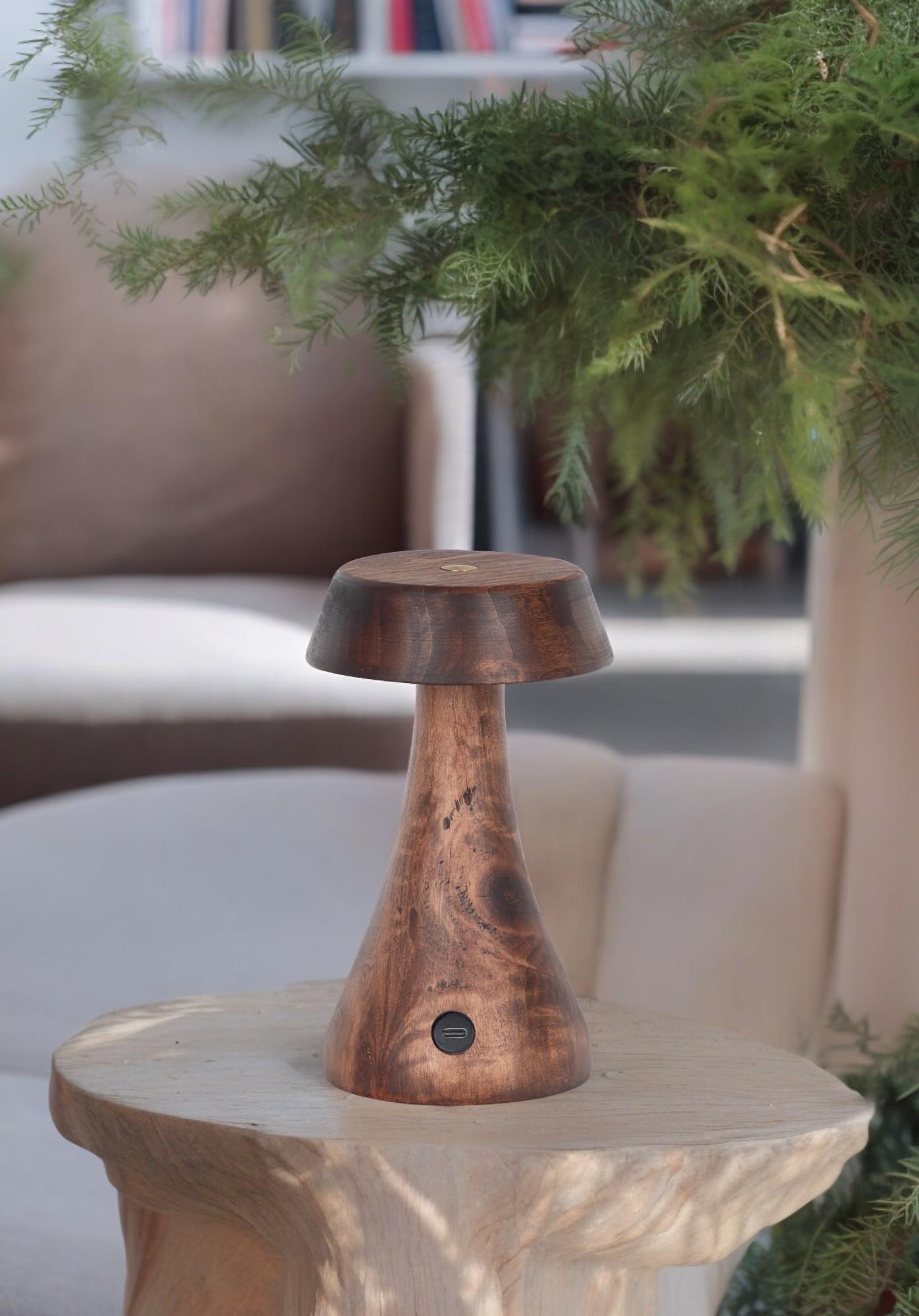 Morchella Rechargeable Wenge Table Lamp - Heka Lighting & Trading Limited