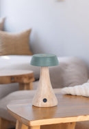 Morchella Rechargeable Green Table Lamp - Heka Lighting & Trading Limited